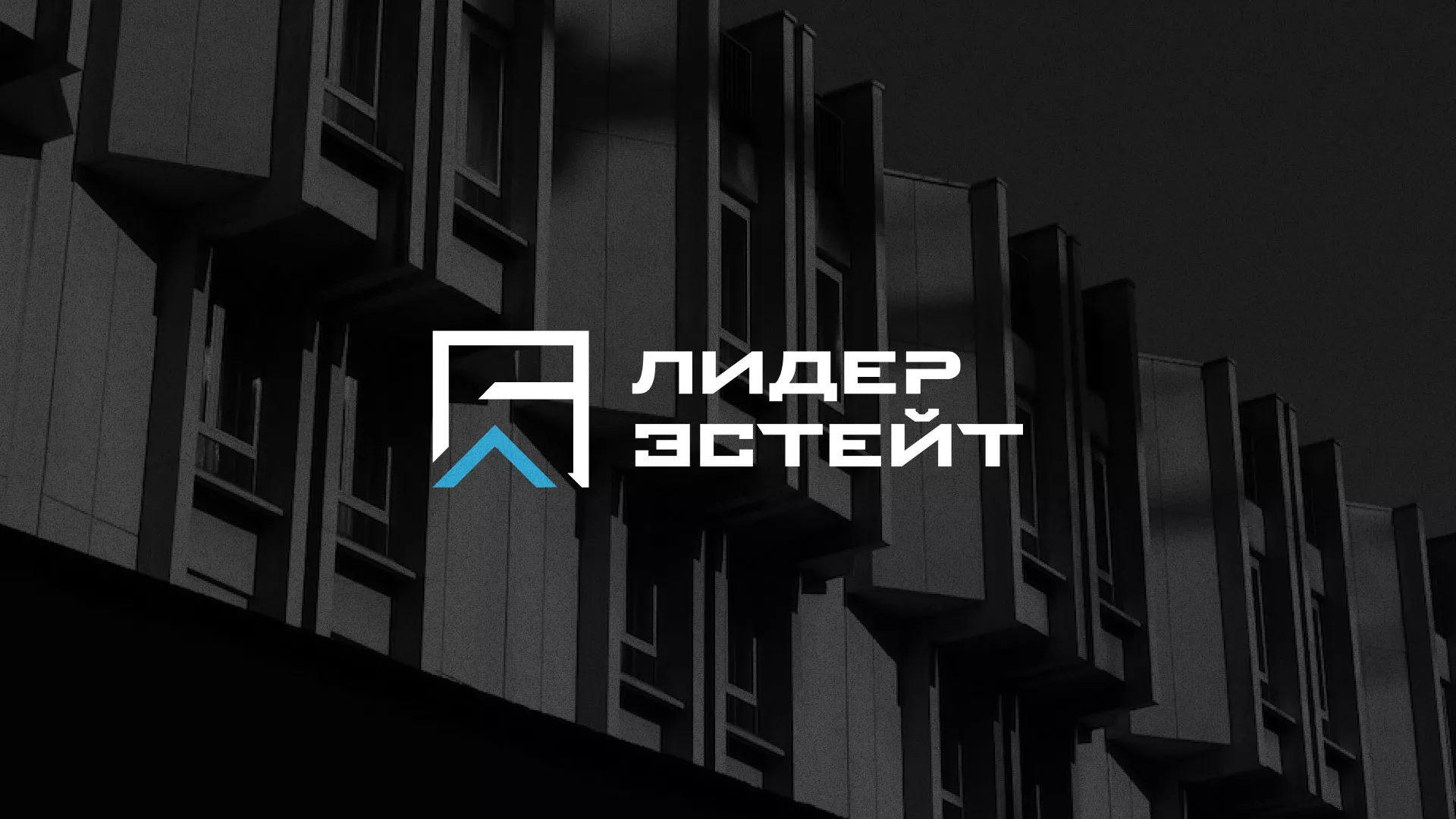 Разработка логотипа агентства недвижимости «Лидер Эстейт» в Ачинске